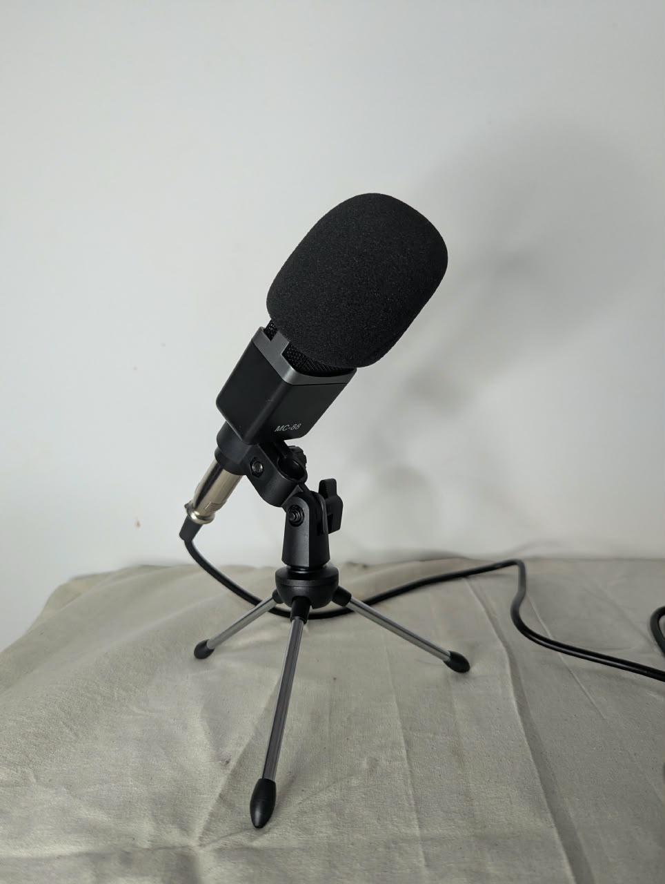Studio Condenser Microphone Setup